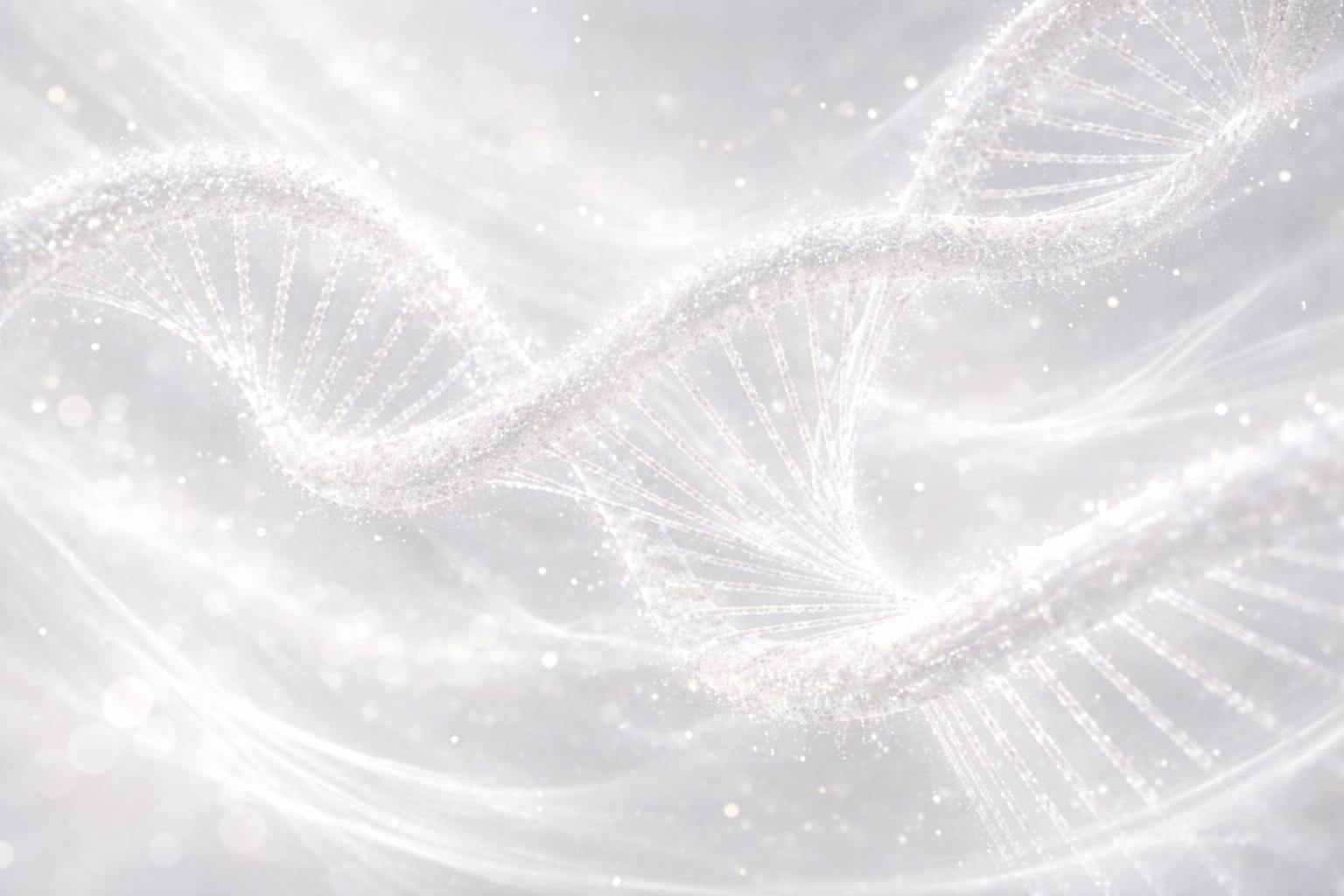 LostPeach Art Design Studio