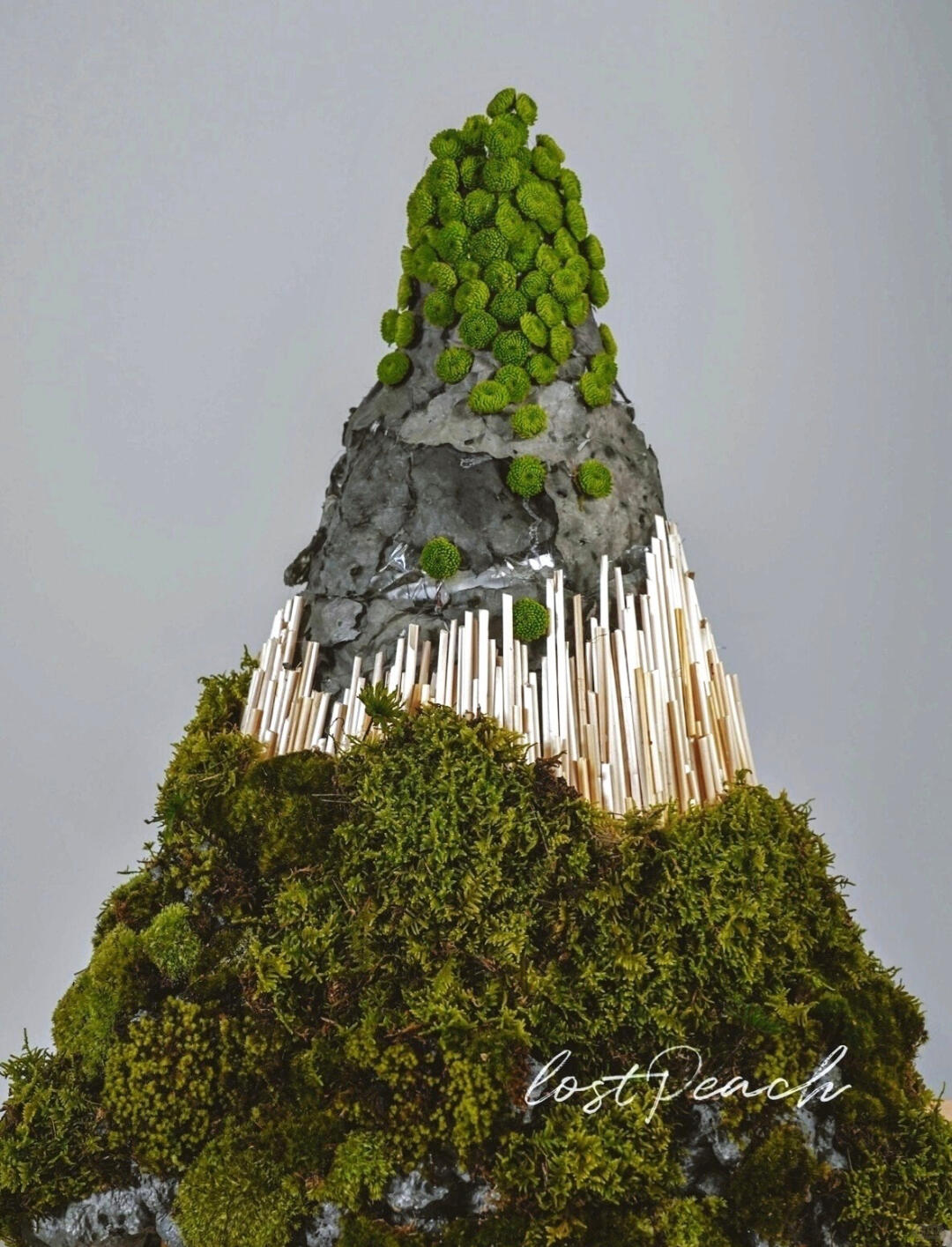 Themed Installation | Vitality Series image 2