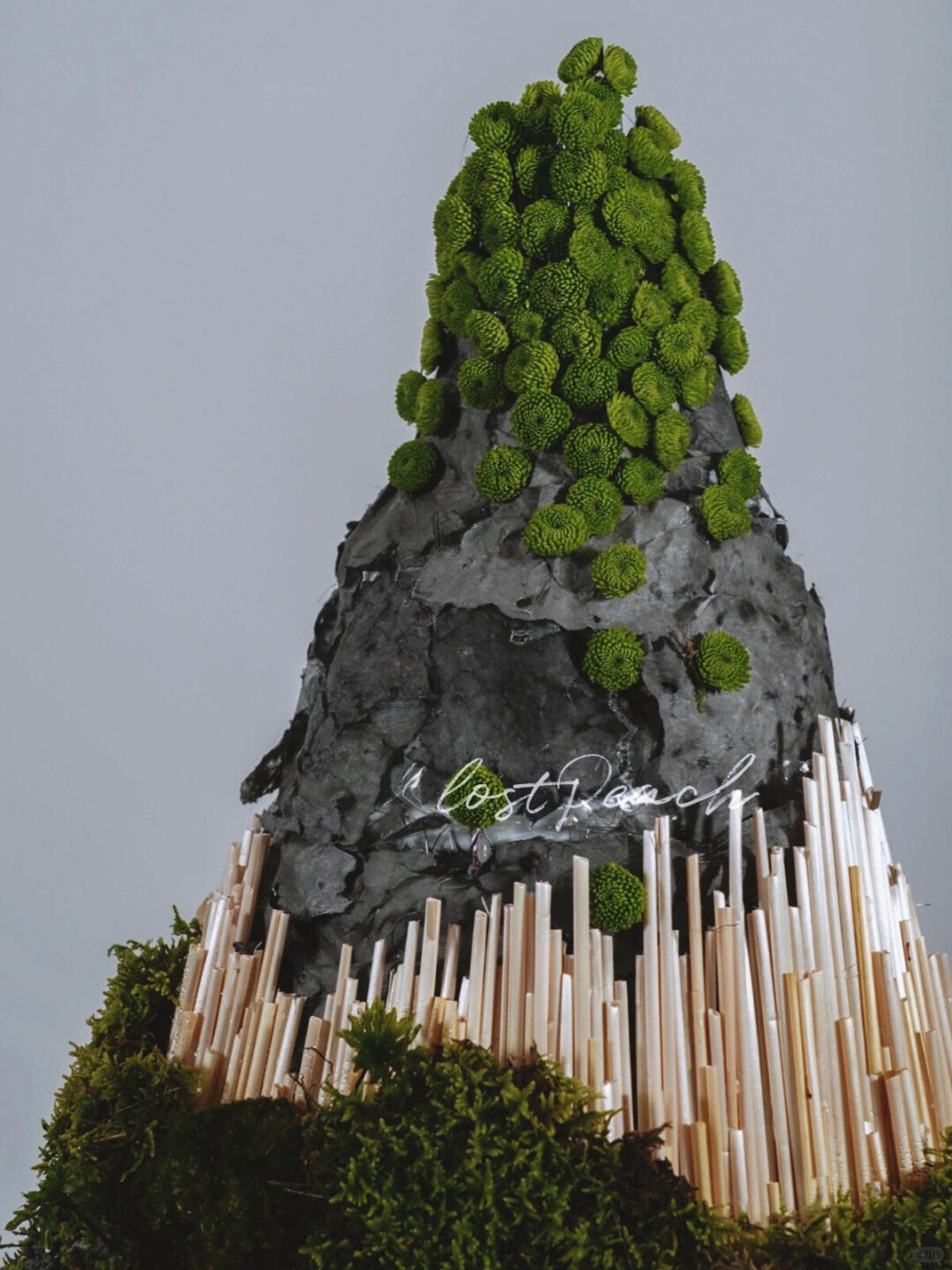 Themed Installation | Vitality Series image 1