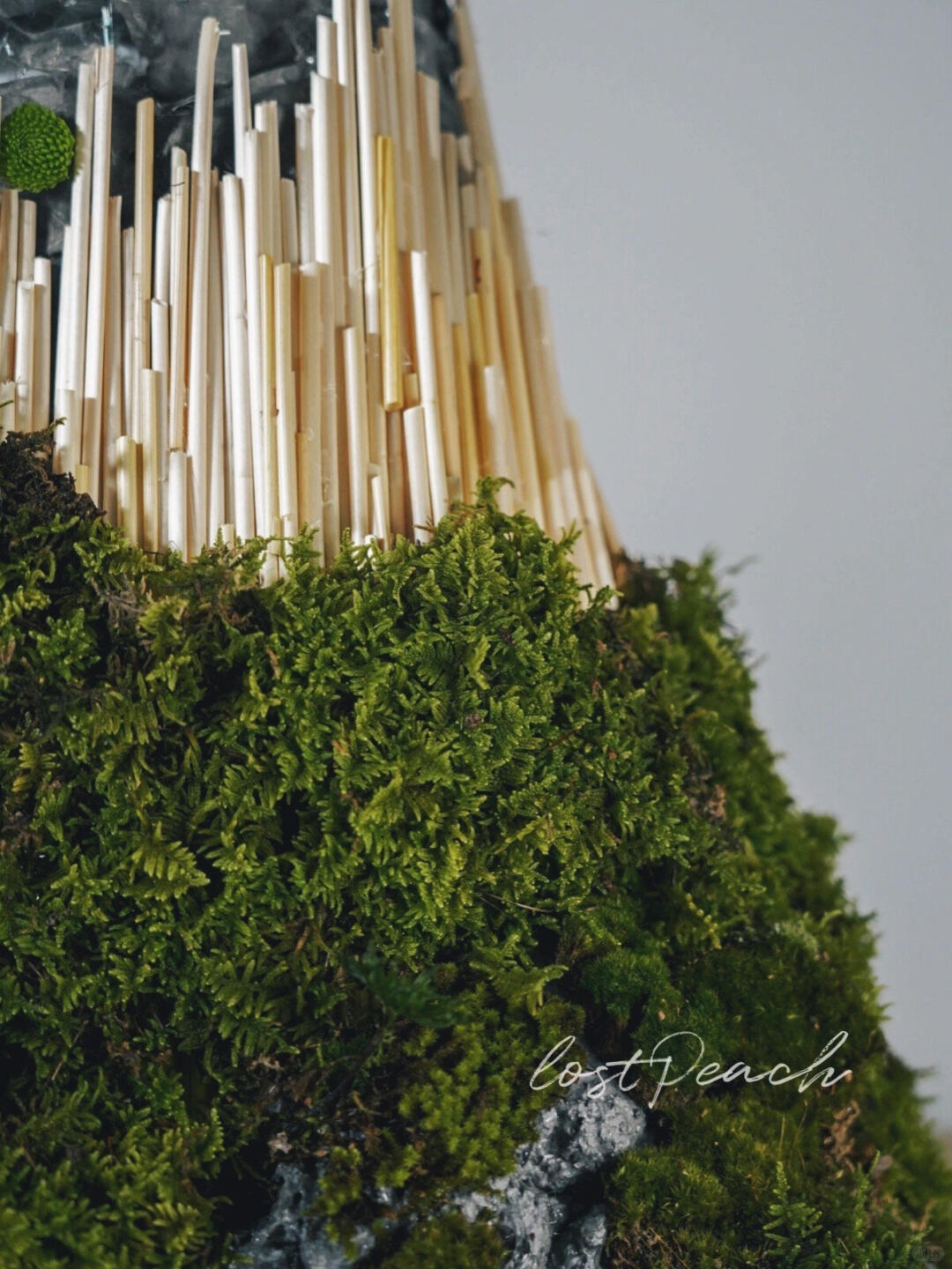 Themed Installation | Vitality Series image 3