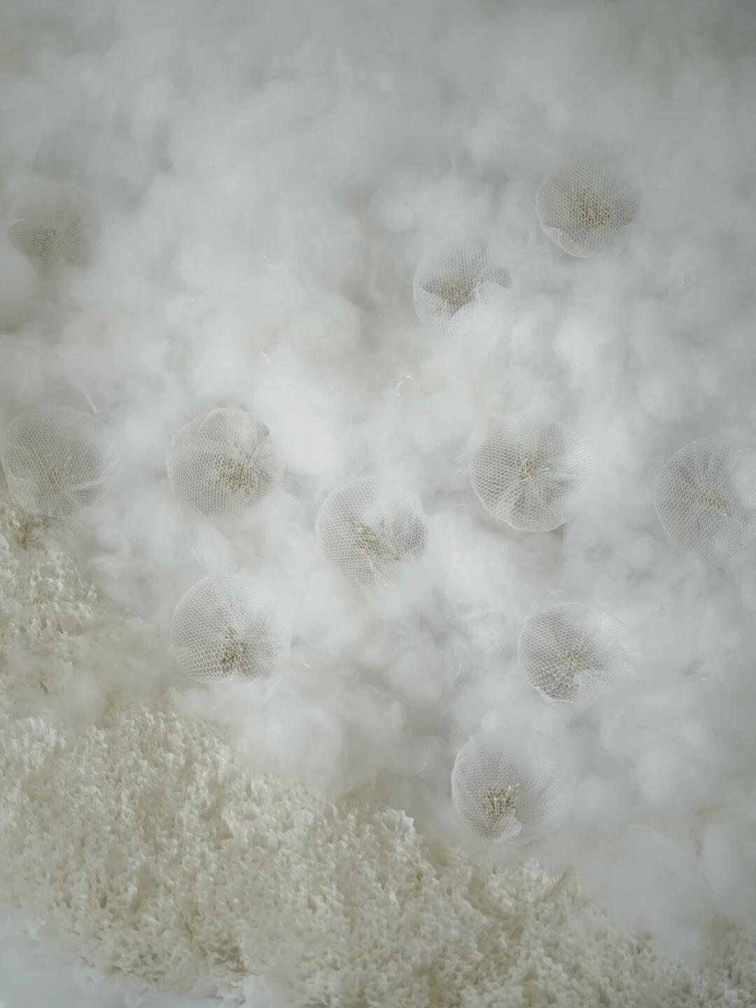 An Ethereal and Dreamy Fairy Mushroom Art Installation, Cute & Sweet Style image 4