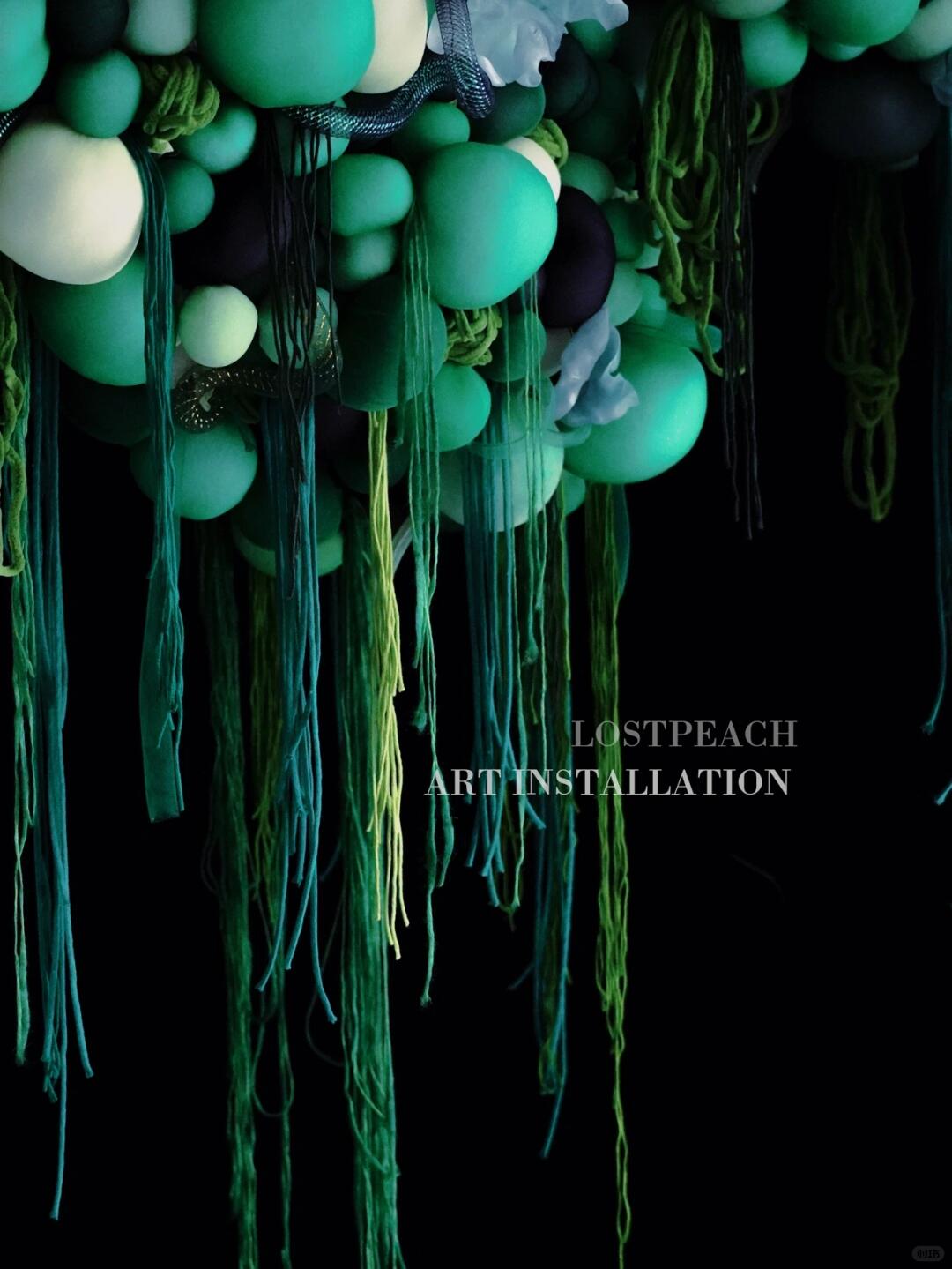 Cell Division | Creating Eye-Catching Booth Art Installations with Pantyhose image 1