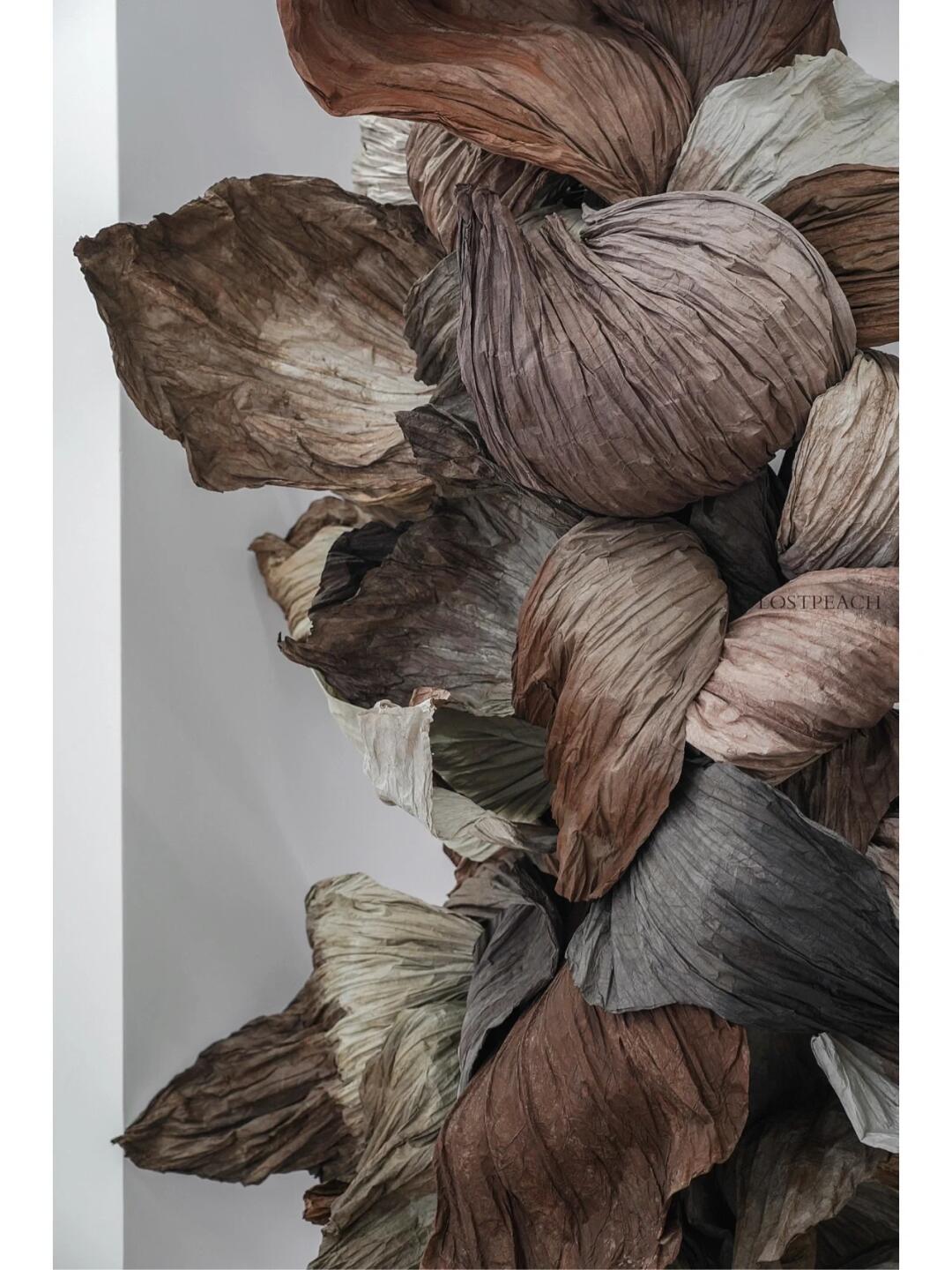 Cycle of Decay and Rebirth | Spatial Photo-Spot Art Installation image 7