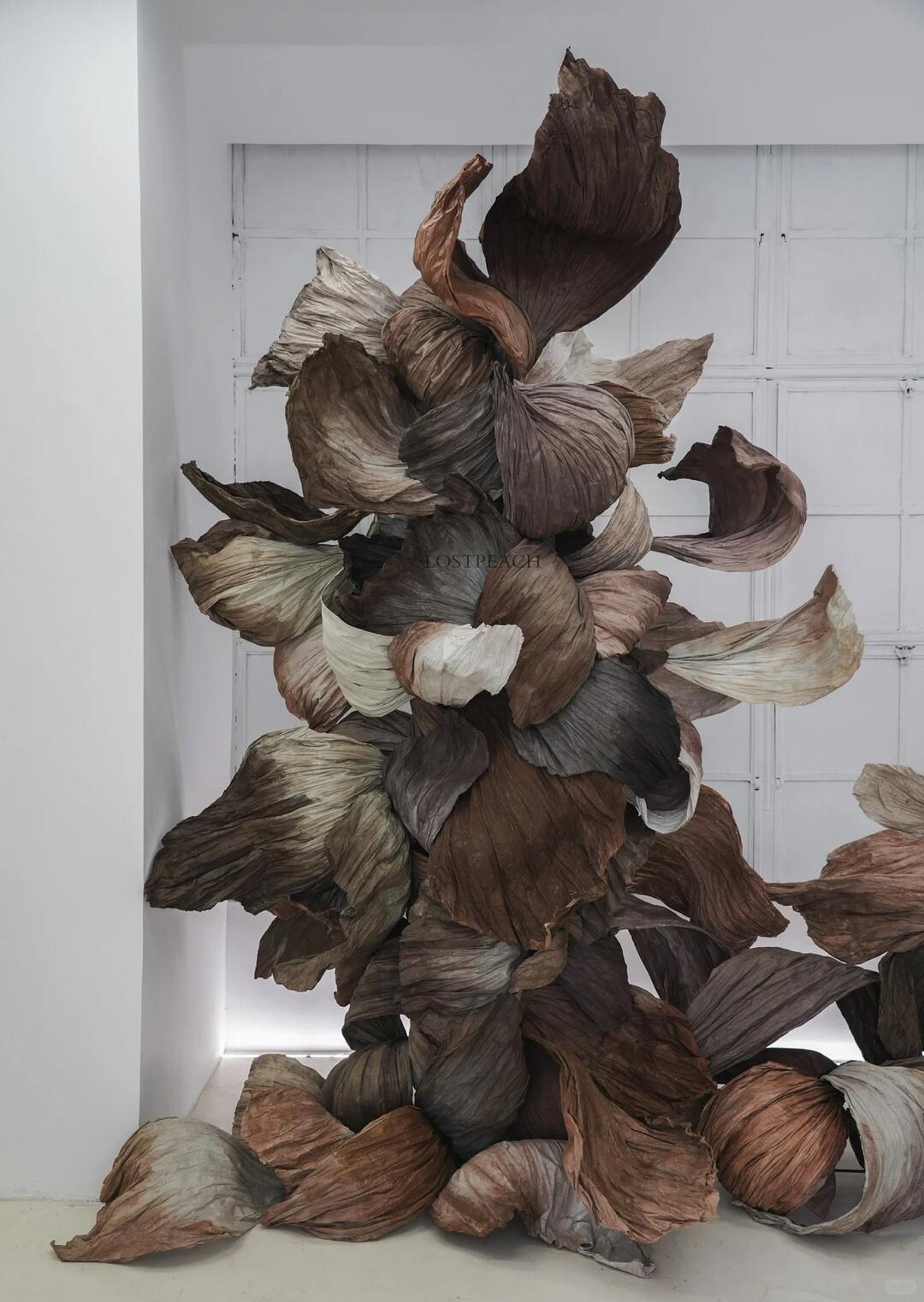 Cycle of Decay and Rebirth | Spatial Photo-Spot Art Installation image 3