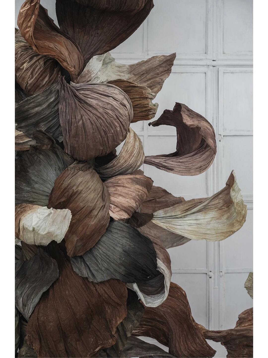 Cycle of Decay and Rebirth | Spatial Photo-Spot Art Installation image 8