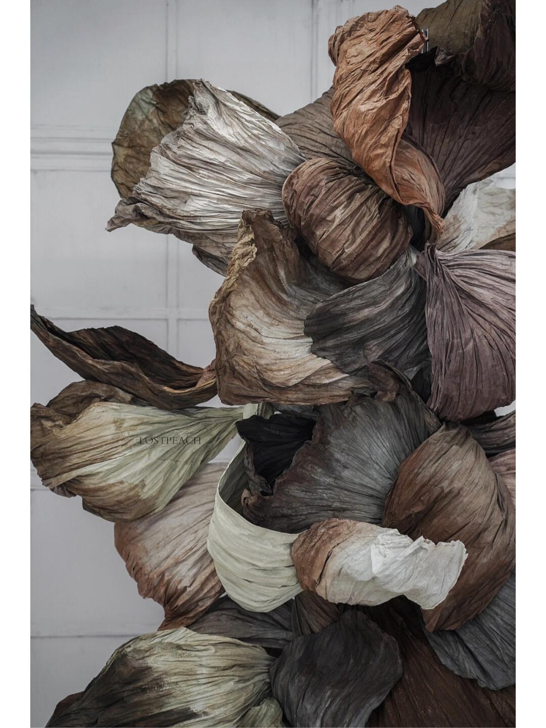 Cycle of Decay and Rebirth | Spatial Photo-Spot Art Installation