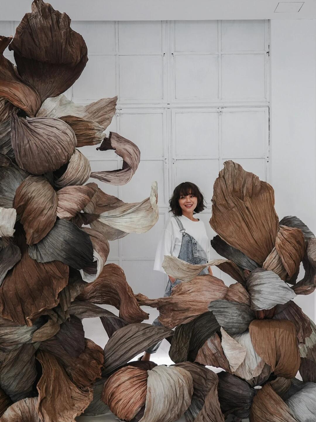 Cycle of Decay and Rebirth | Spatial Photo-Spot Art Installation image 2
