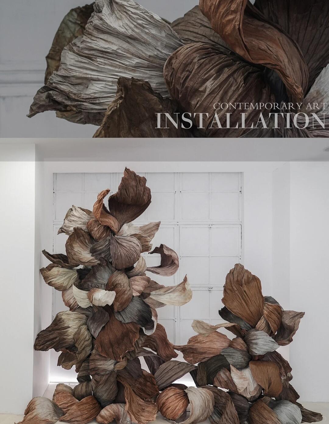 Cycle of Decay and Rebirth | Spatial Photo-Spot Art Installation image 6