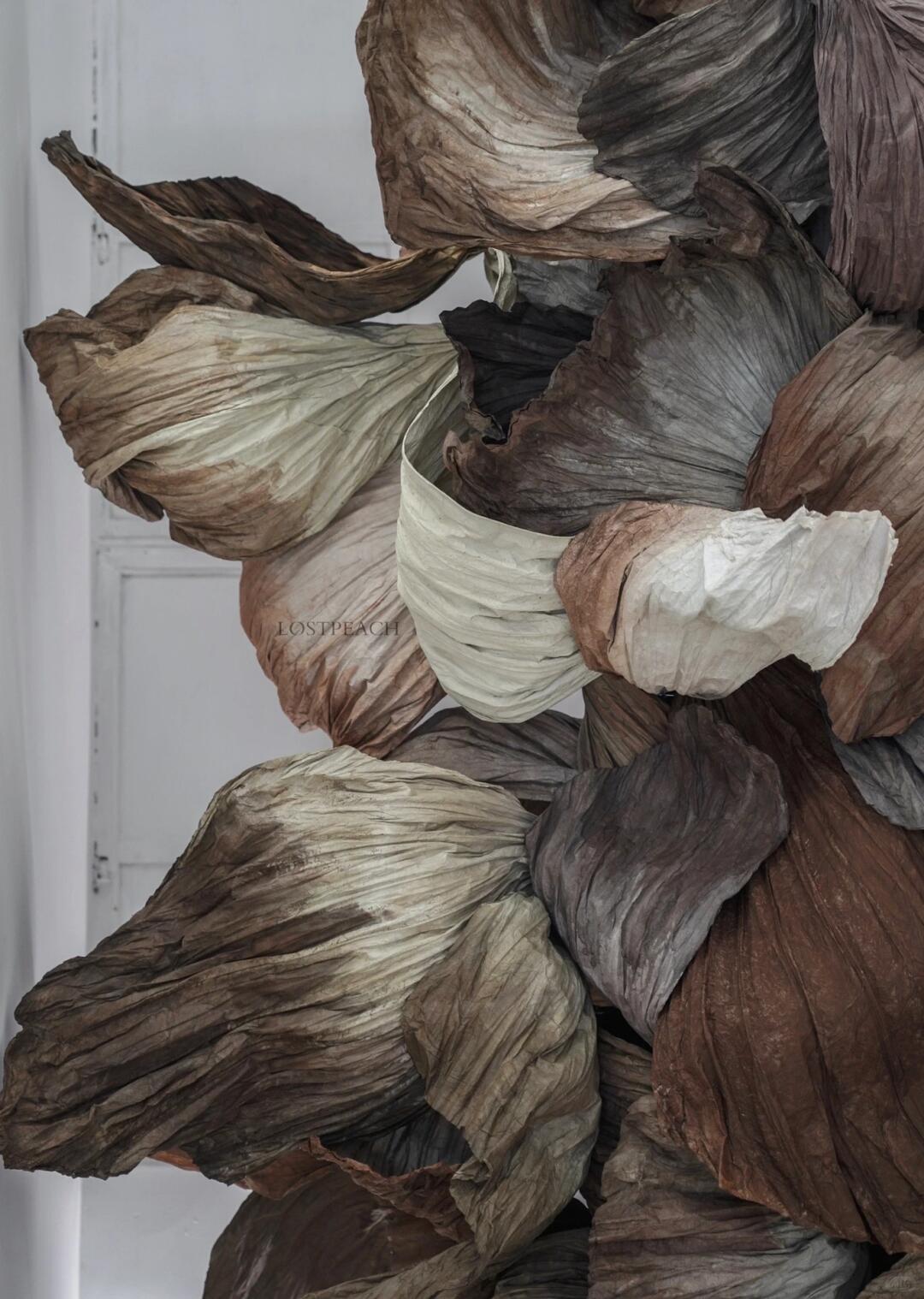 Cycle of Decay and Rebirth | Spatial Photo-Spot Art Installation image 5