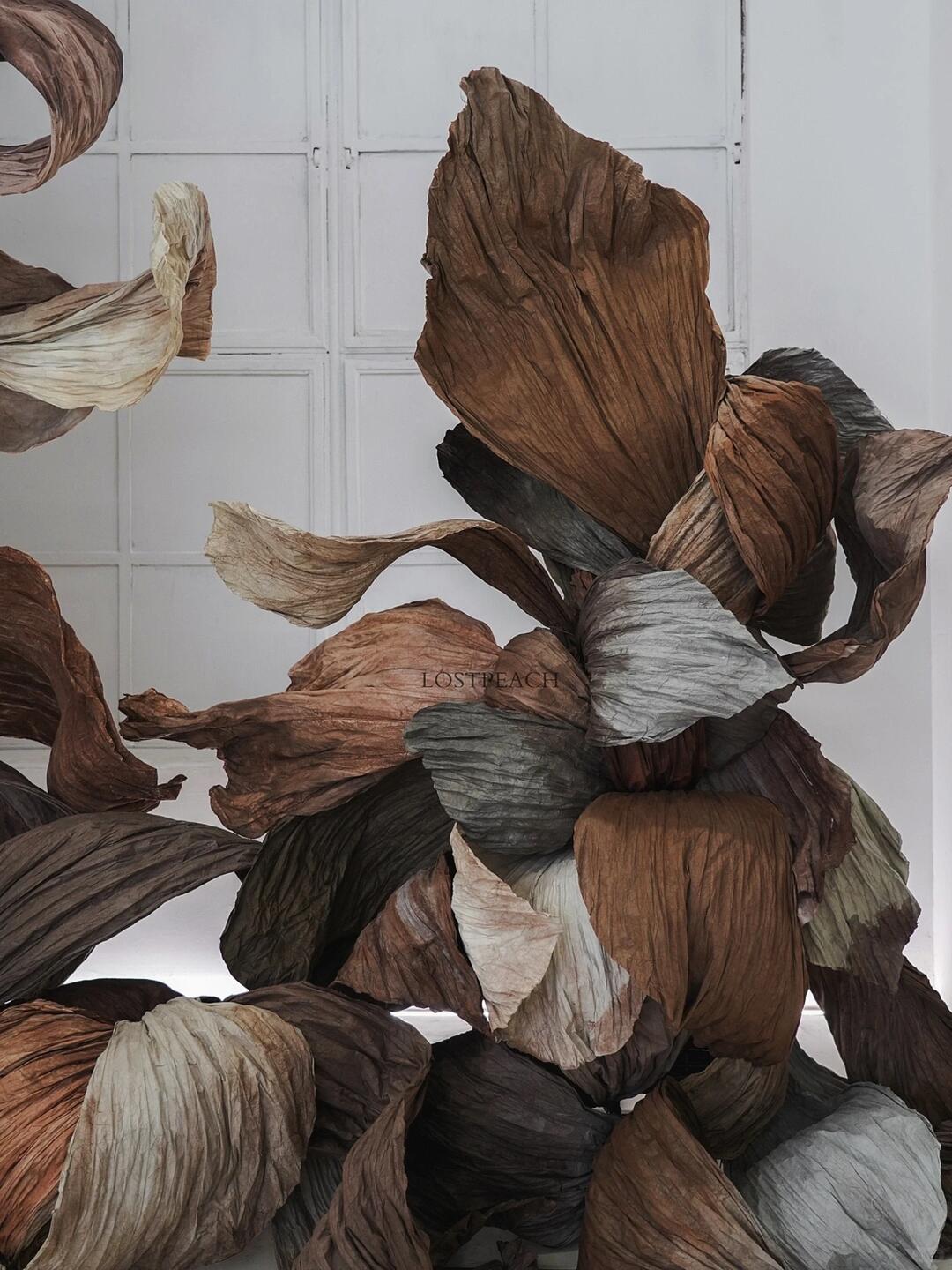 Cycle of Decay and Rebirth | Spatial Photo-Spot Art Installation image 4