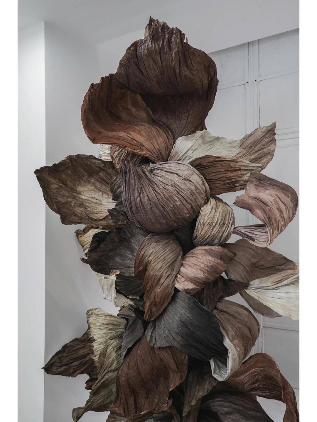 Cycle of Decay and Rebirth | Spatial Photo-Spot Art Installation image 1