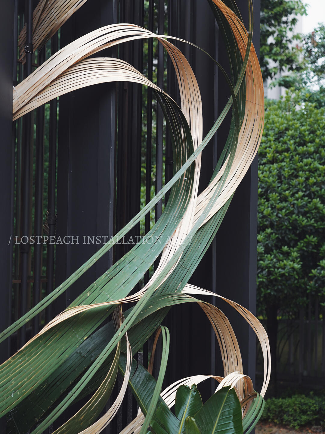 Restaurant Facade Bamboo Installation Art - Water Wood. Life image 5