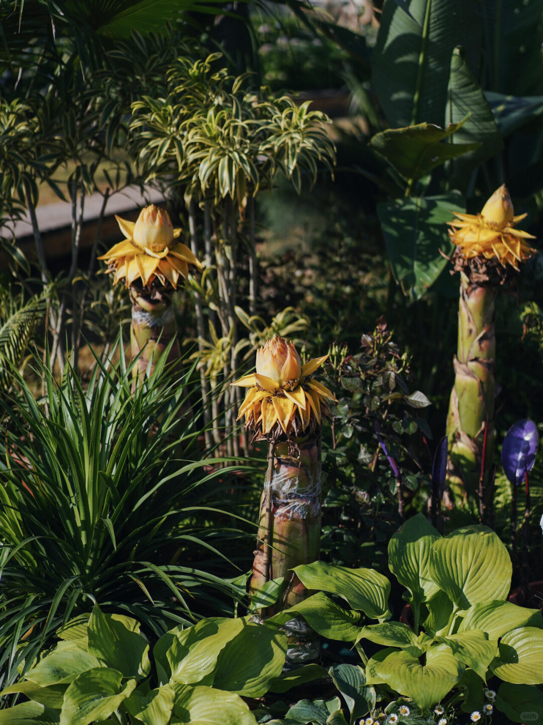 The First Chengdu Floral Installation Mega-Project | The Inner World of Children with Autism image 3