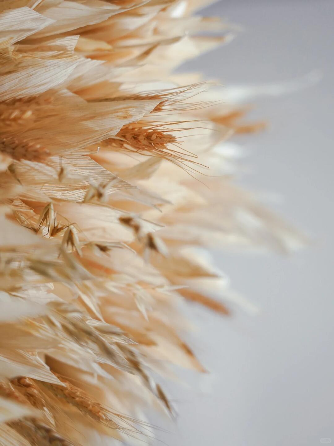 Spatial Art Installation | Crafting a Group of Hummingbird Nests with Corn Husks image 7