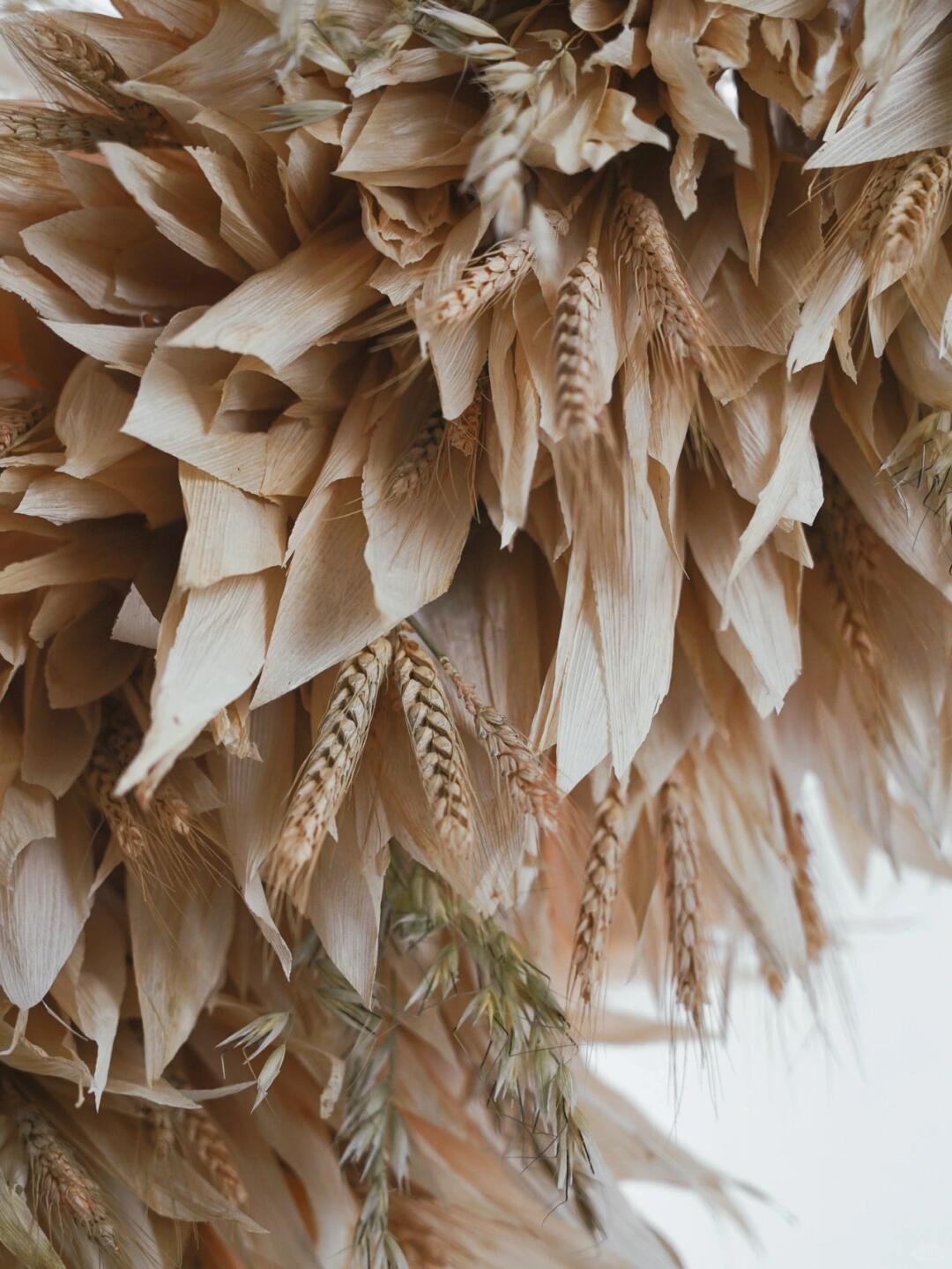 Spatial Art Installation | Crafting a Group of Hummingbird Nests with Corn Husks image 8