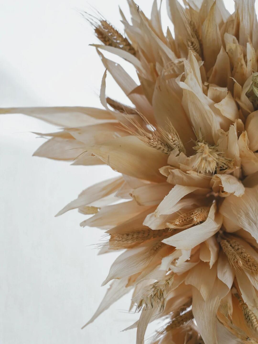 Spatial Art Installation | Crafting a Group of Hummingbird Nests with Corn Husks image 5
