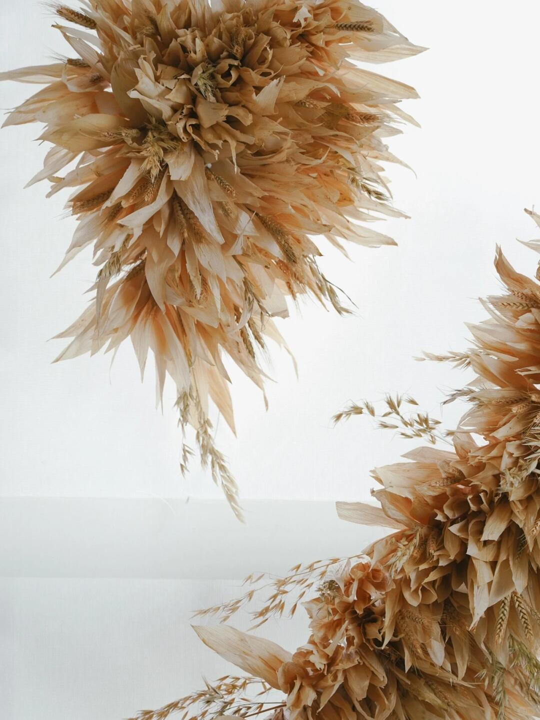 Spatial Art Installation | Crafting a Group of Hummingbird Nests with Corn Husks image 2