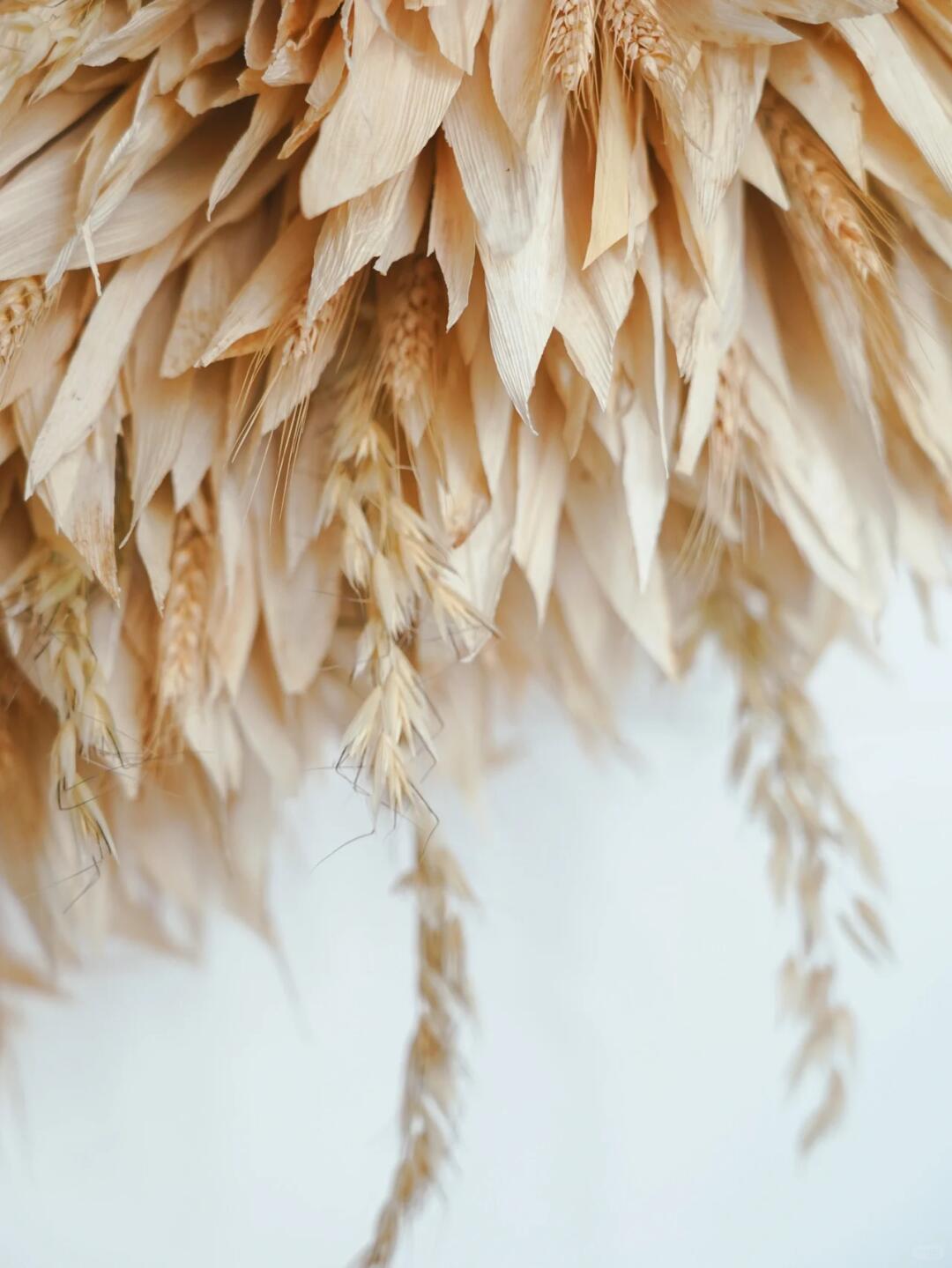 Spatial Art Installation | Crafting a Group of Hummingbird Nests with Corn Husks image 4