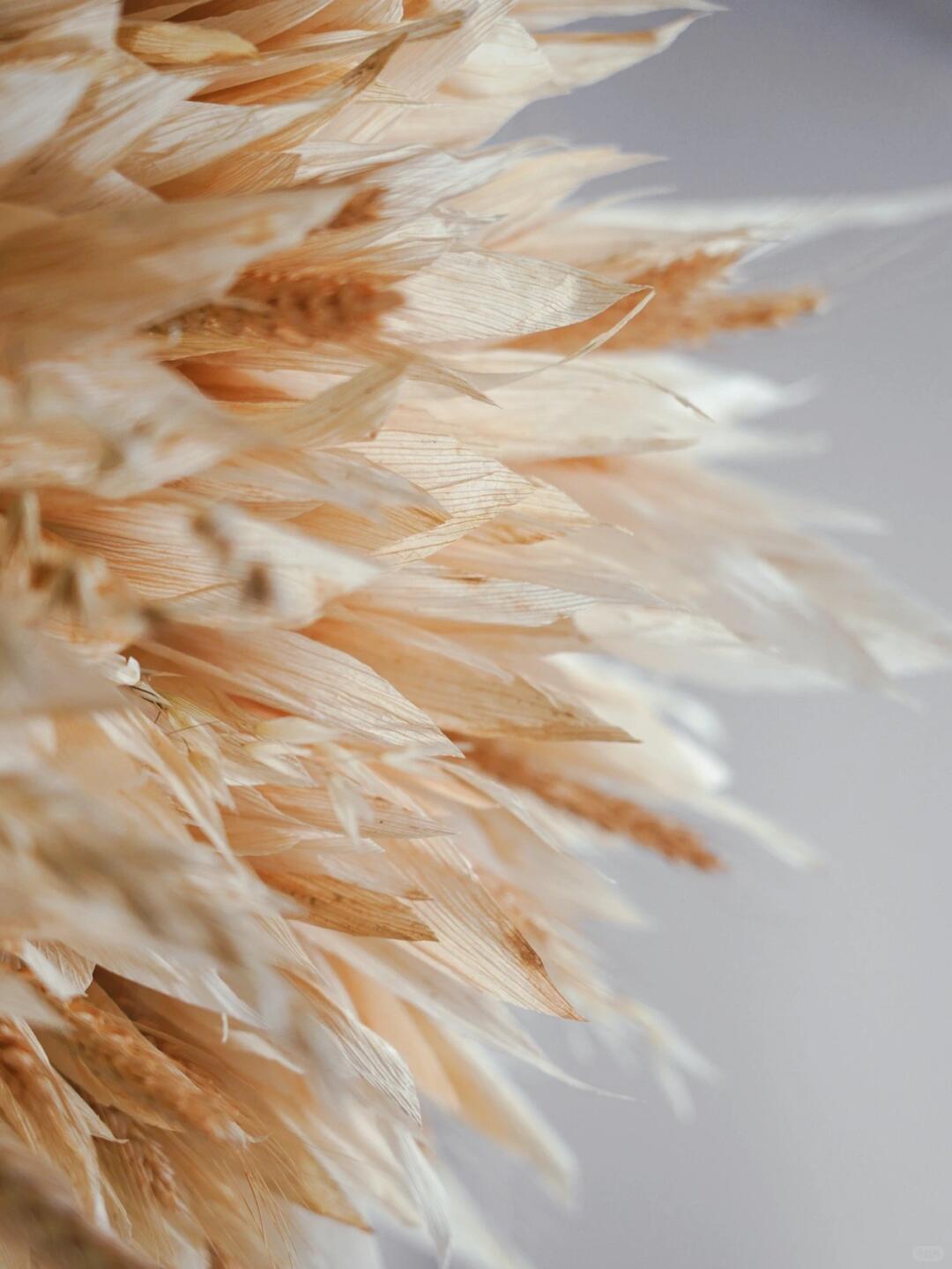 Spatial Art Installation | Crafting a Group of Hummingbird Nests with Corn Husks image 3