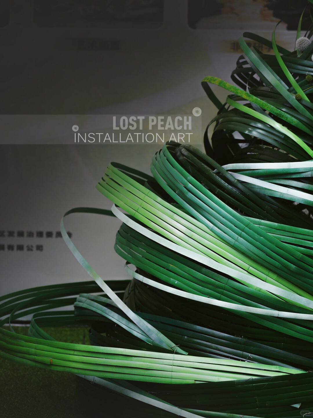 Green Wind || Bamboo Art Installation | The Art of Blending Green | Dragon Twister for the Dragon Boat Festival image 2