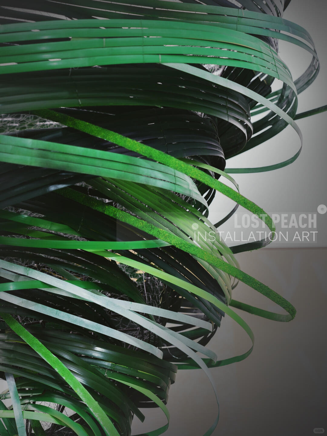 Green Wind || Bamboo Art Installation | The Art of Blending Green | Dragon Twister for the Dragon Boat Festival