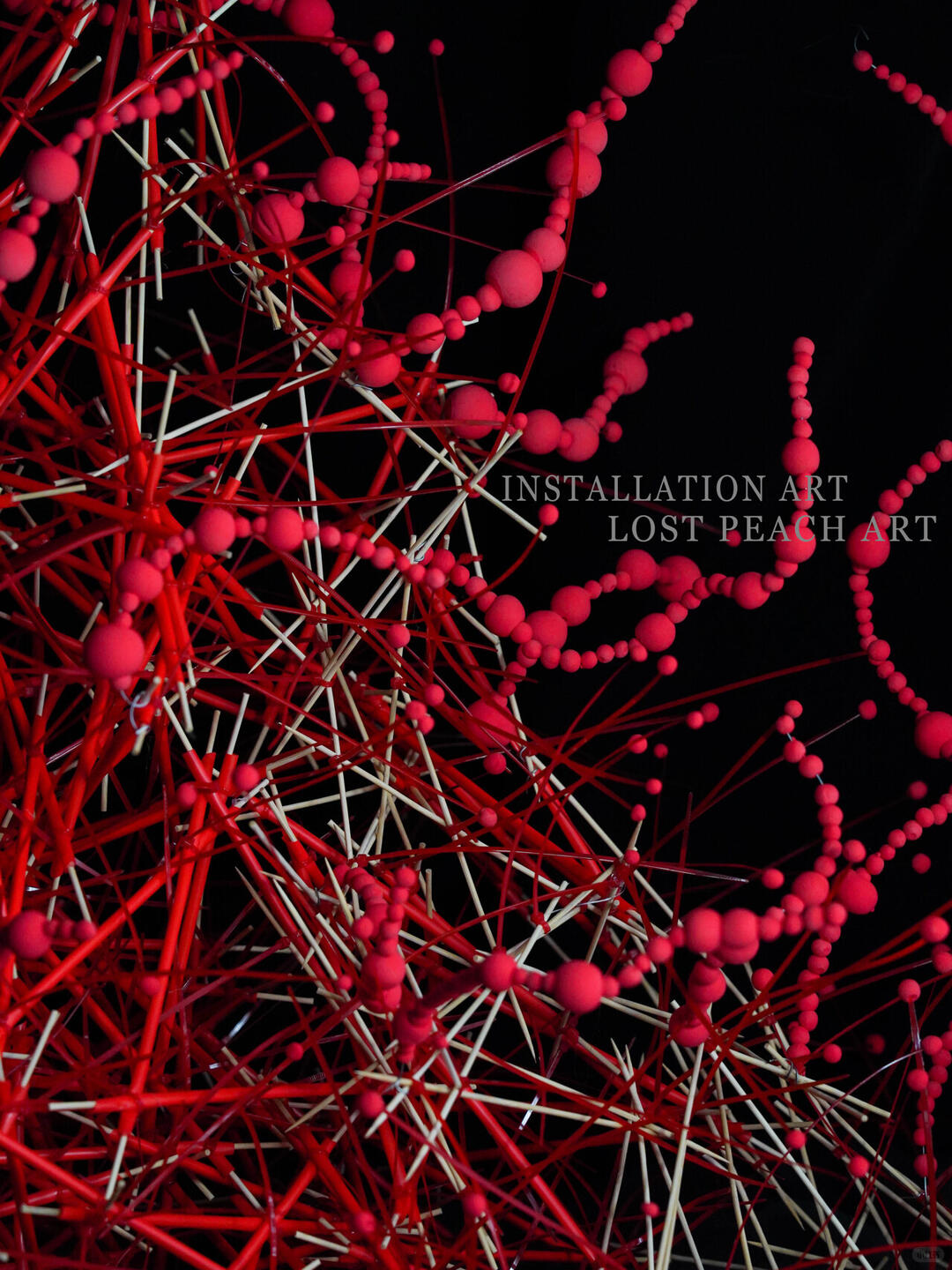 Window Commercial Display Installation Design | "Touch" image 6