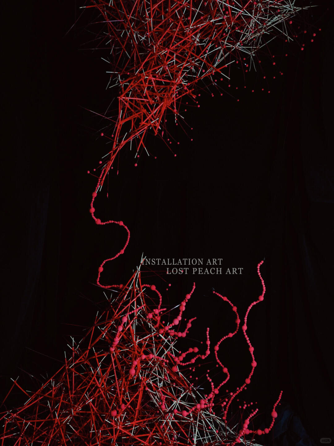 Window Commercial Display Installation Design | "Touch" image 2