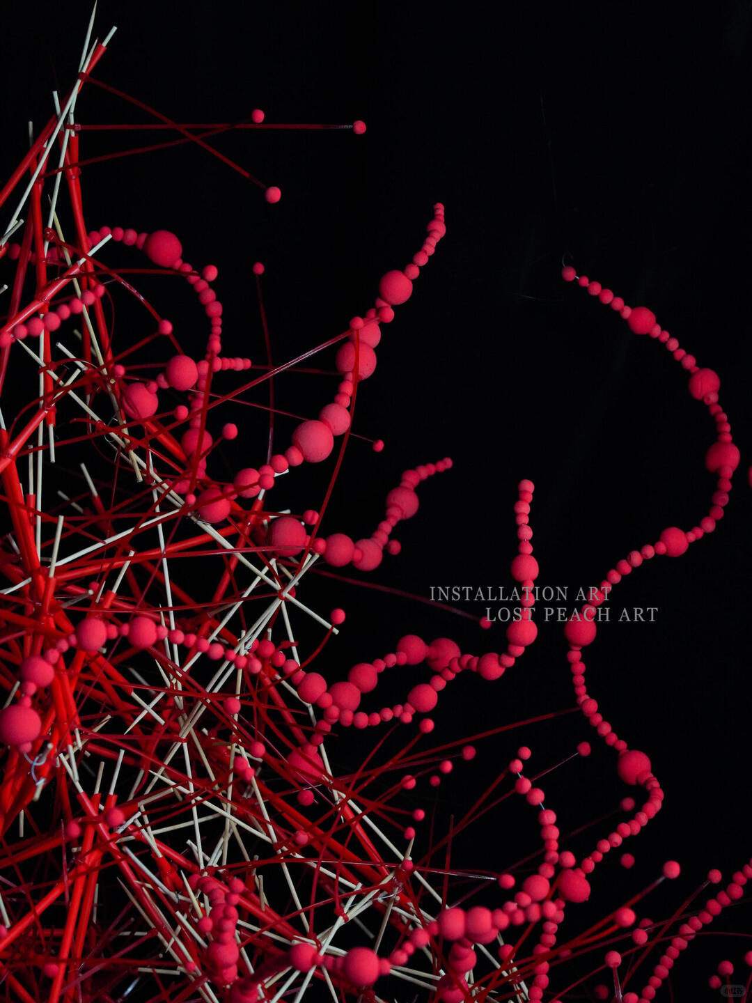 Window Commercial Display Installation Design | "Touch" image 3