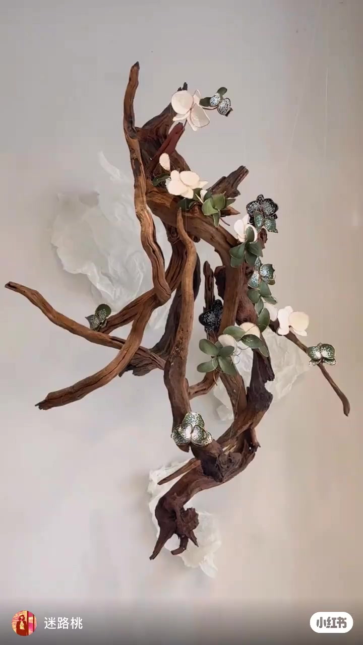 Between Orchid and Wood | Handcrafted Phalaenopsis Art Installation