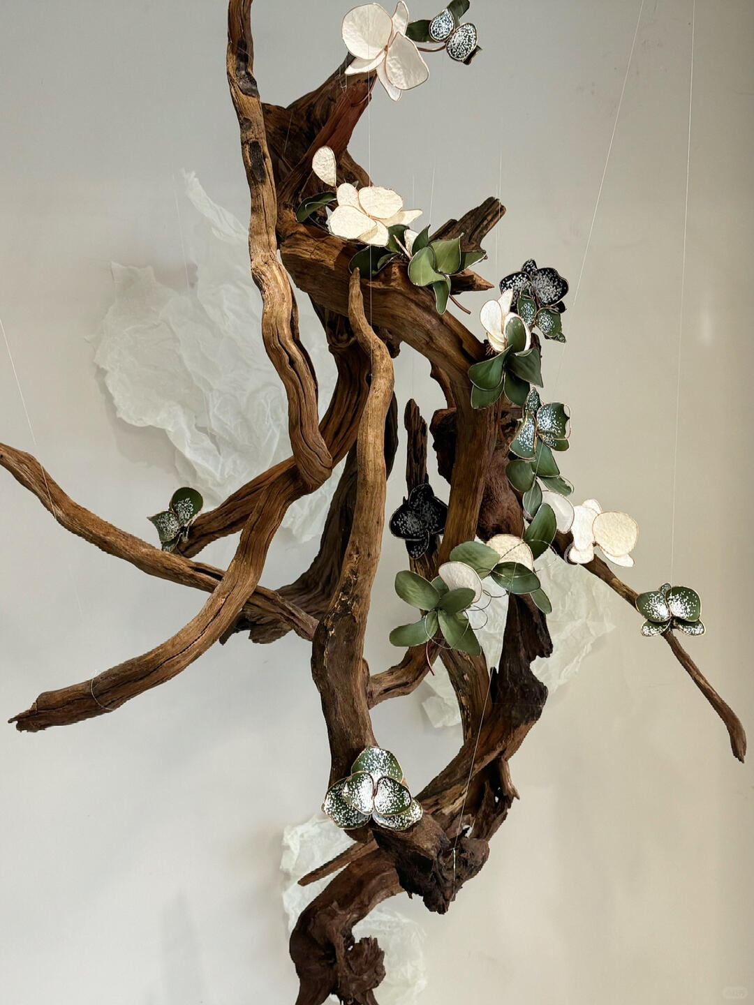 Between Orchid and Wood | Handcrafted Phalaenopsis Art Installation