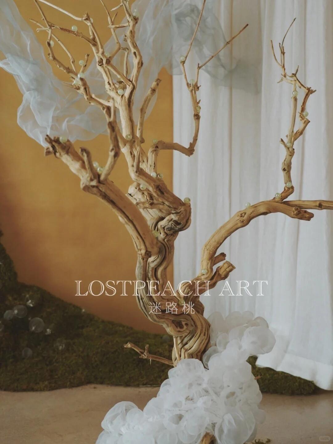 Moss Art Installation New Arrangement | Little Spore‑like Spirits image 8