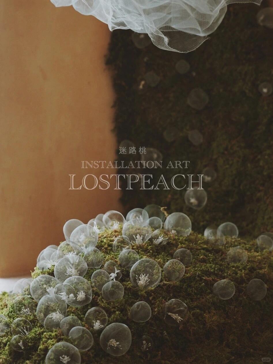 Moss Art Installation New Arrangement | Little Spore‑like Spirits image 5