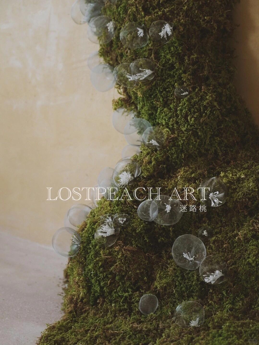 Moss Art Installation New Arrangement | Little Spore‑like Spirits image 7
