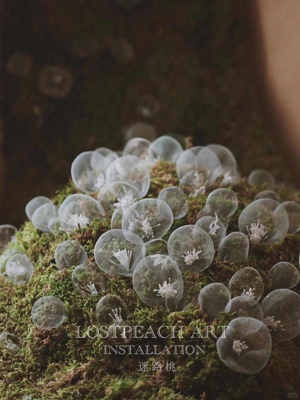 Moss Art Installation New Arrangement | Little Spore‑like Spirits image 1