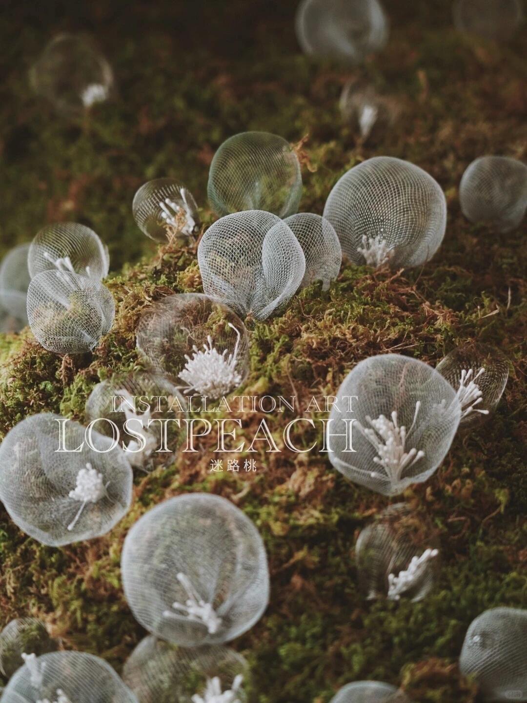 Moss Art Installation New Arrangement | Little Spore‑like Spirits image 6