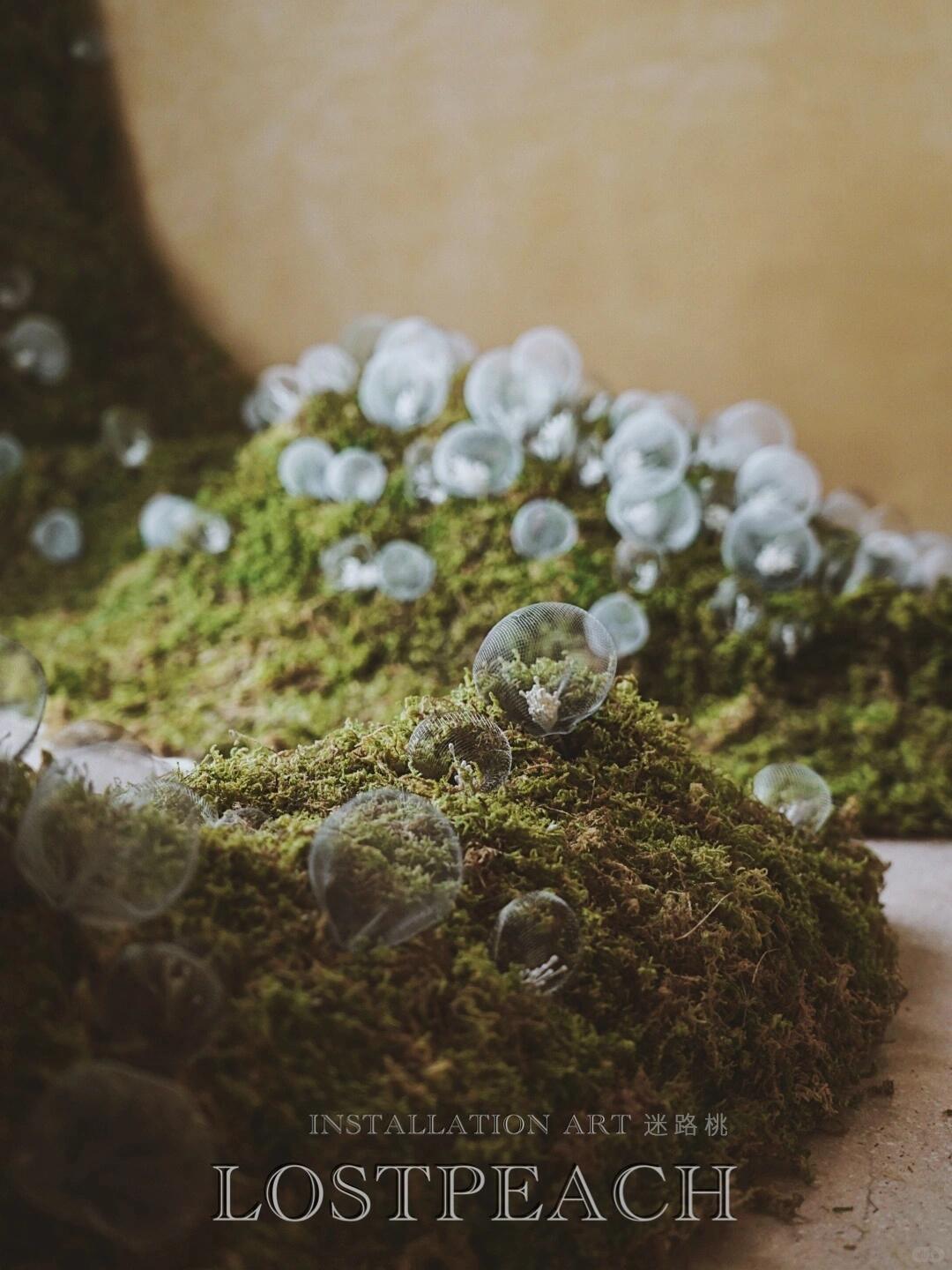 Moss Art Installation New Arrangement | Little Spore‑like Spirits image 3