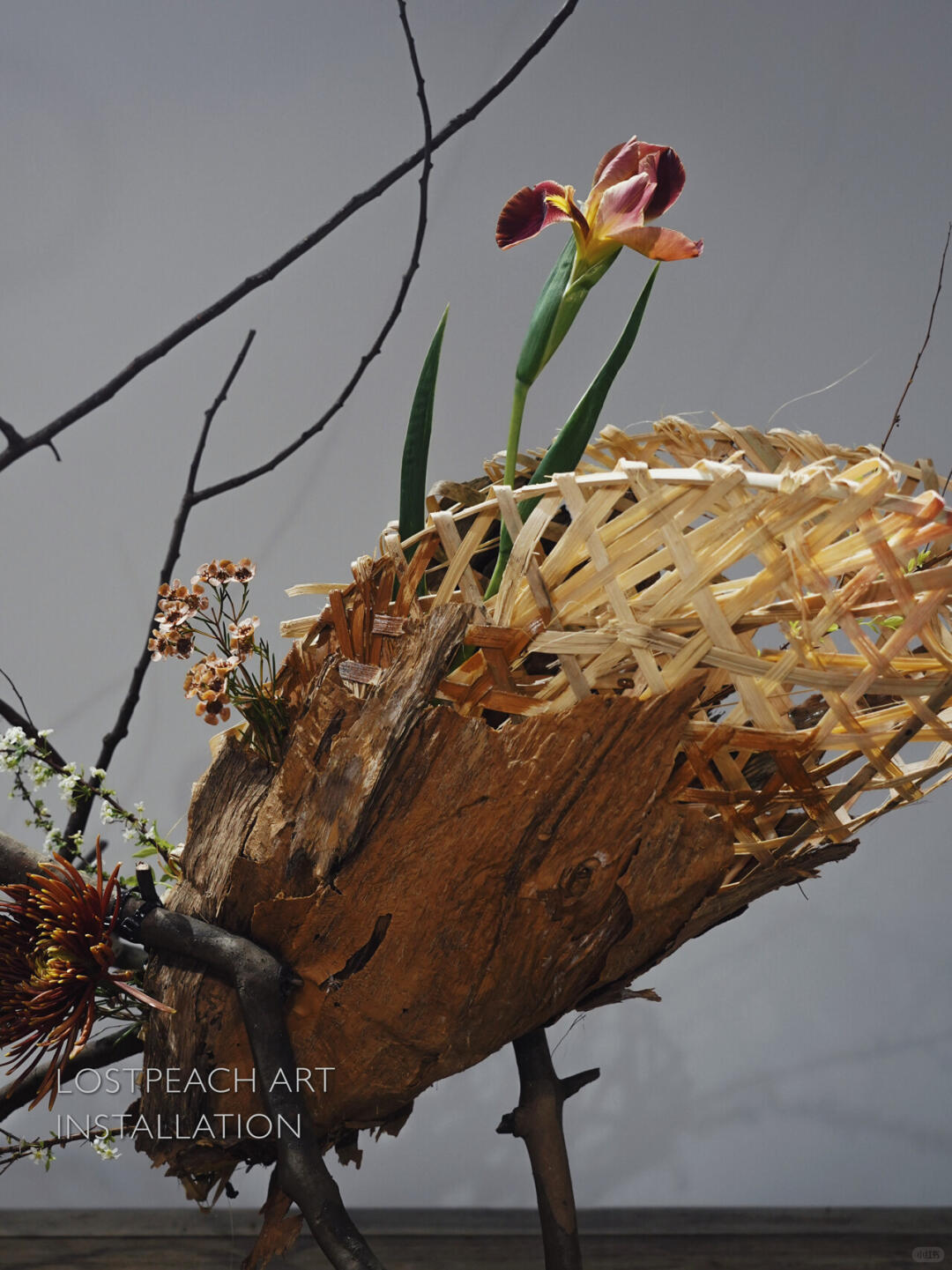 Brand Tea Room Art Installation | Structural Floristry | Falling Leaves image 4