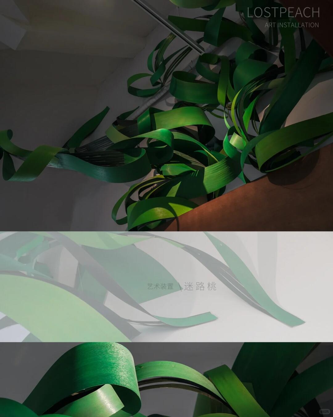 High-End Tea Room Art Installation / Sprouting at Dawn, Bamboo Art Installation image 5