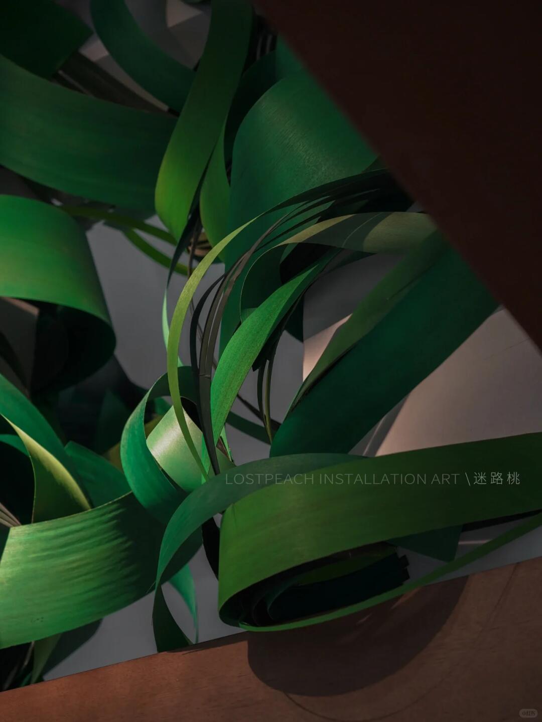 High-End Tea Room Art Installation / Sprouting at Dawn, Bamboo Art Installation image 7