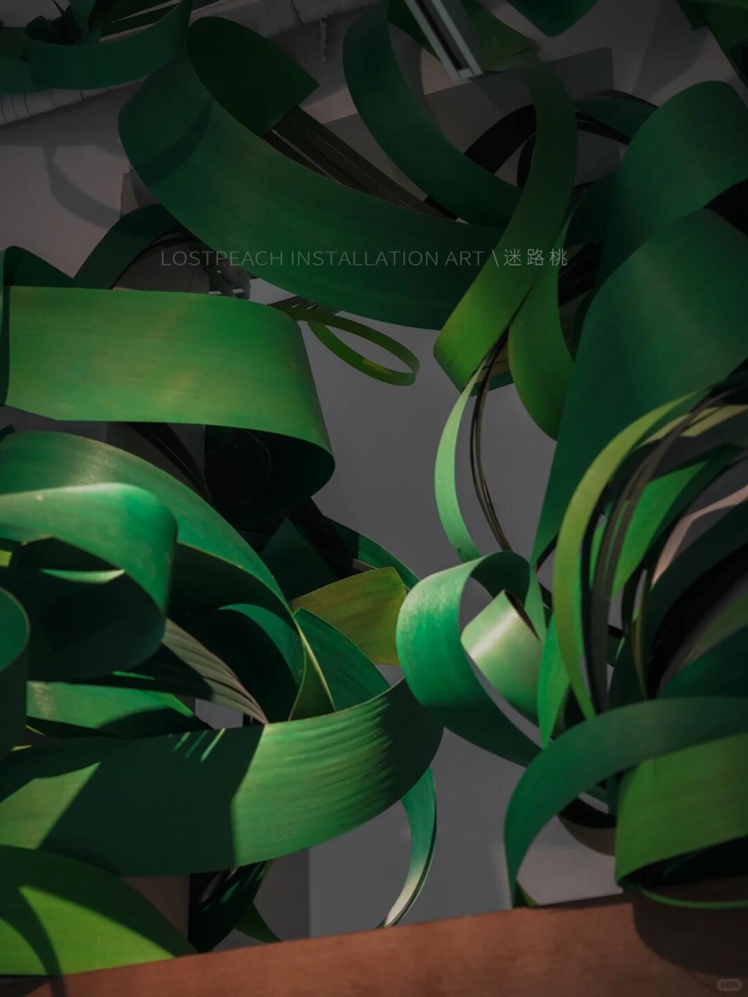 High-End Tea Room Art Installation / Sprouting at Dawn, Bamboo Art Installation image 1