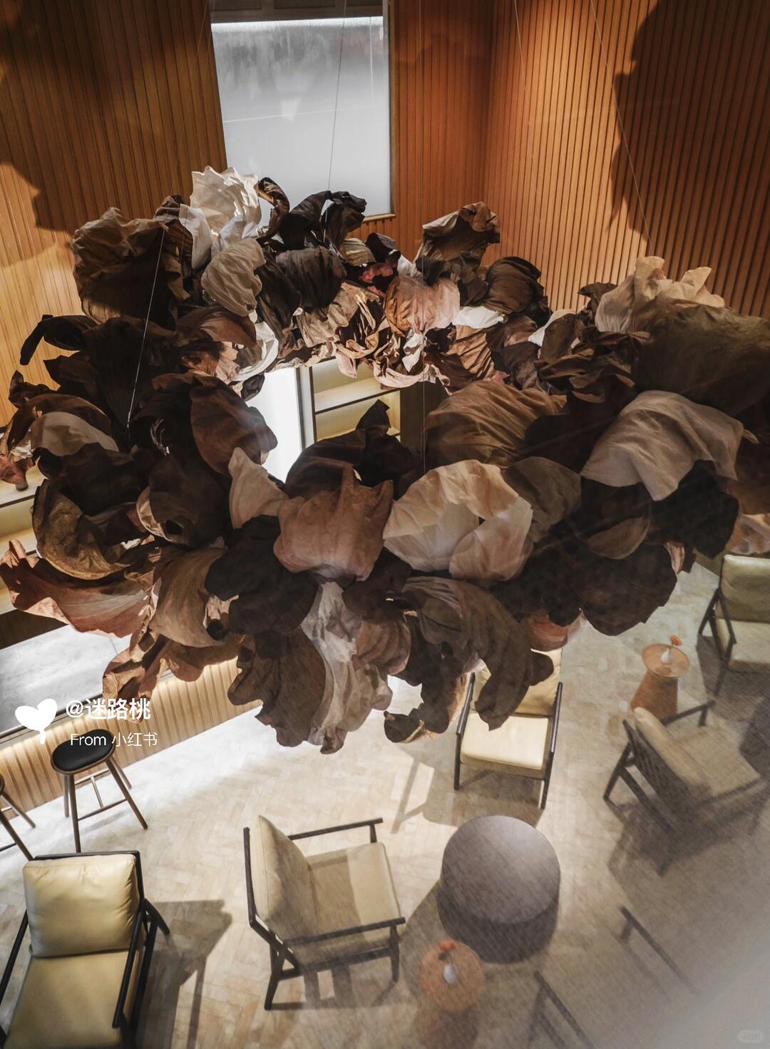 Small Stature, Immense Energy: My Journey in Large-Scale Installation Art