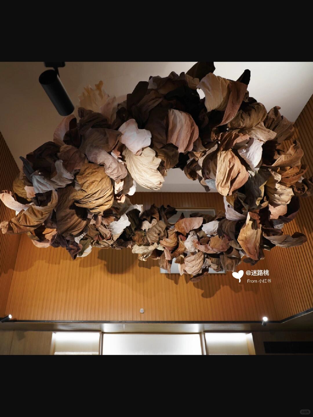 Small Stature, Immense Energy: My Journey in Large-Scale Installation Art image 3