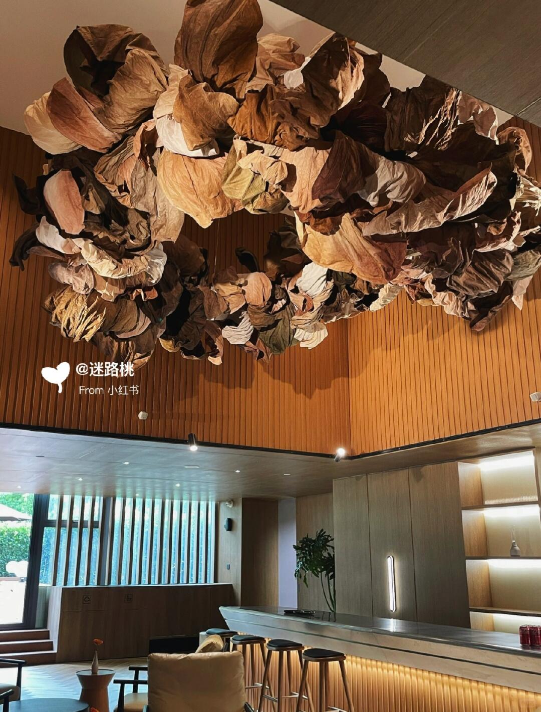 Small Stature, Immense Energy: My Journey in Large-Scale Installation Art image 4