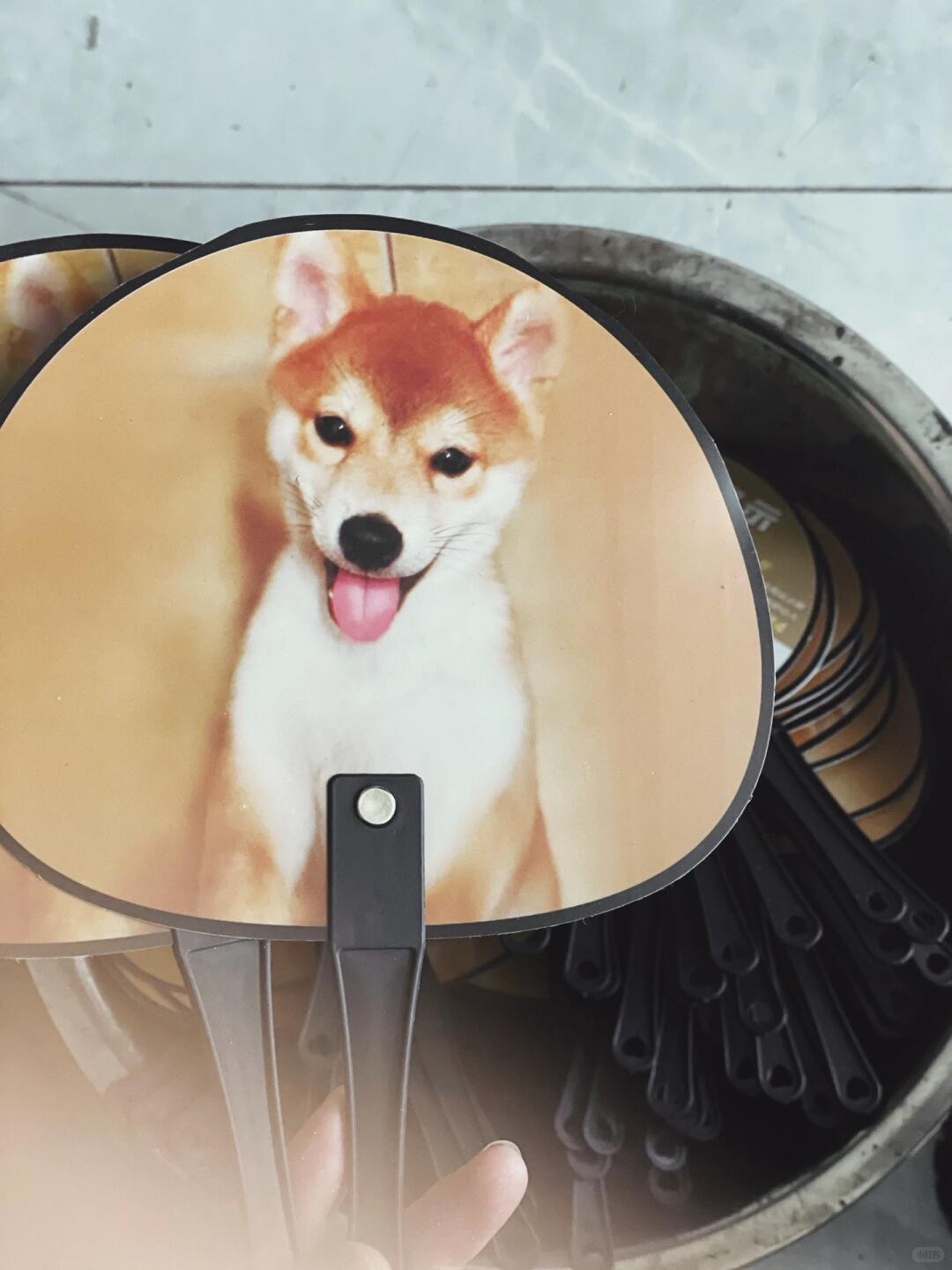 Making an Art Installation from Plastic Dog Fans | Upcycling at Its Finest image 2