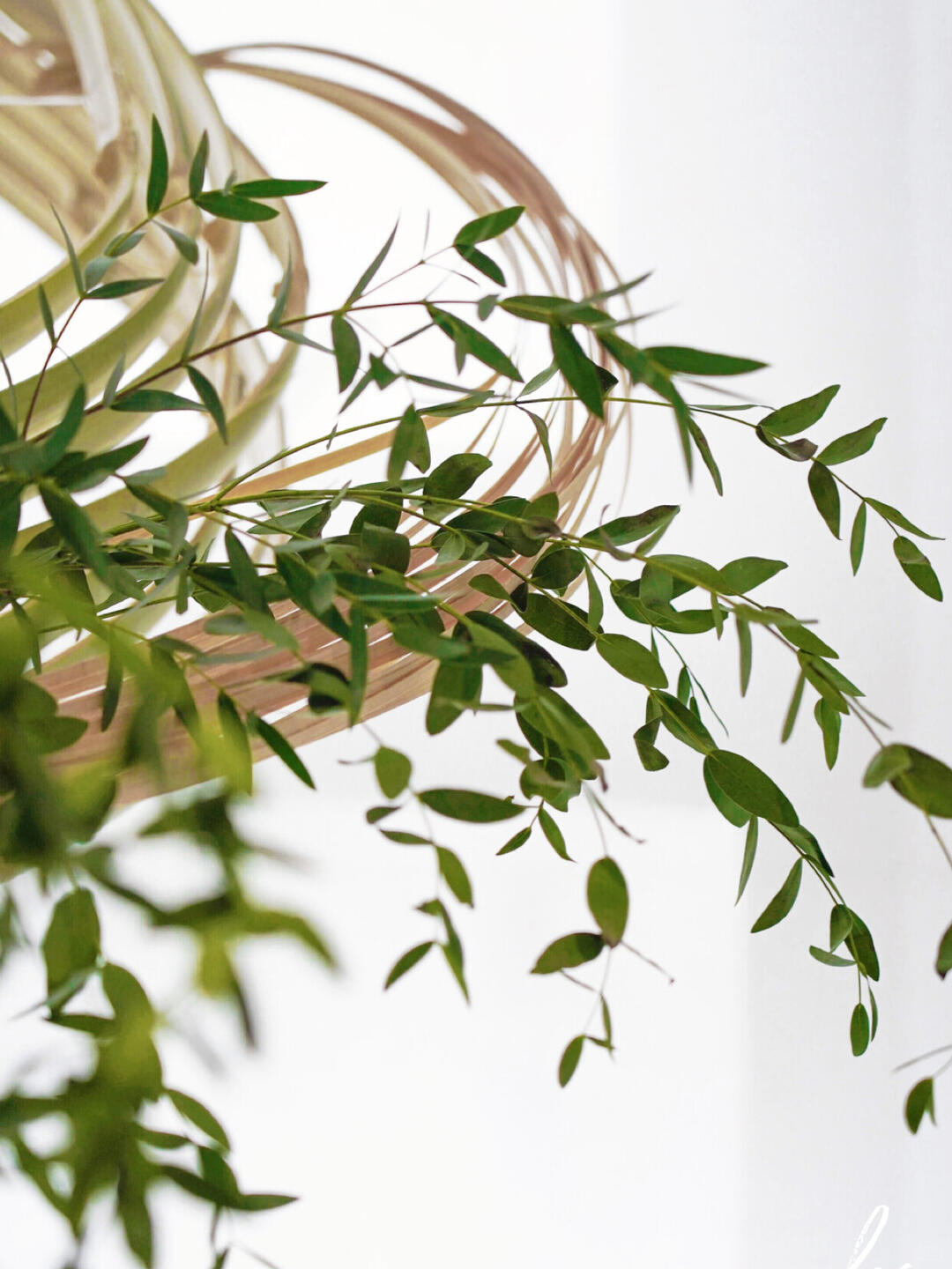 Chengdu Bamboo Installation Art | Hotel Installation image 7