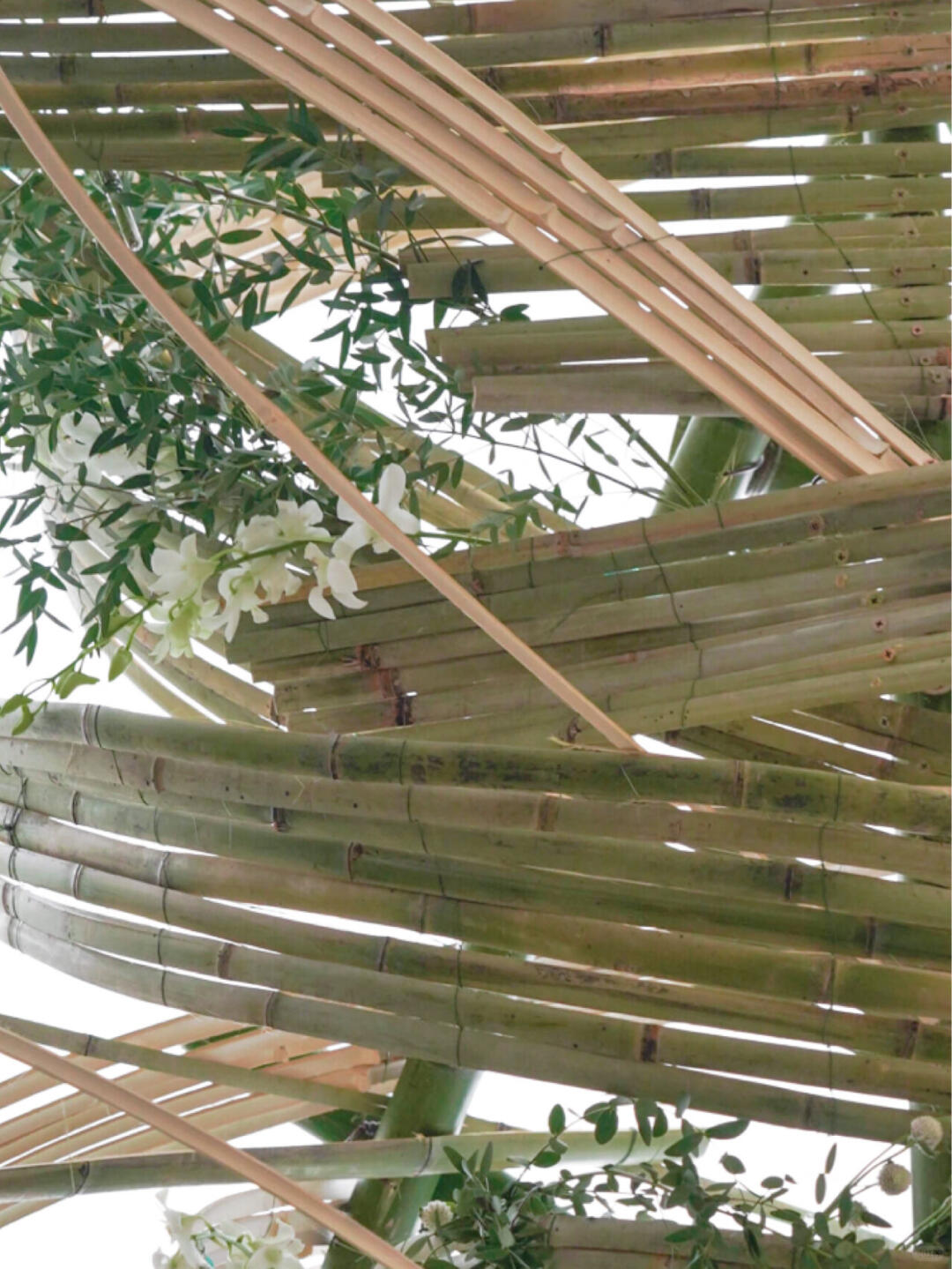 Chengdu Bamboo Installation Art | Hotel Installation image 6