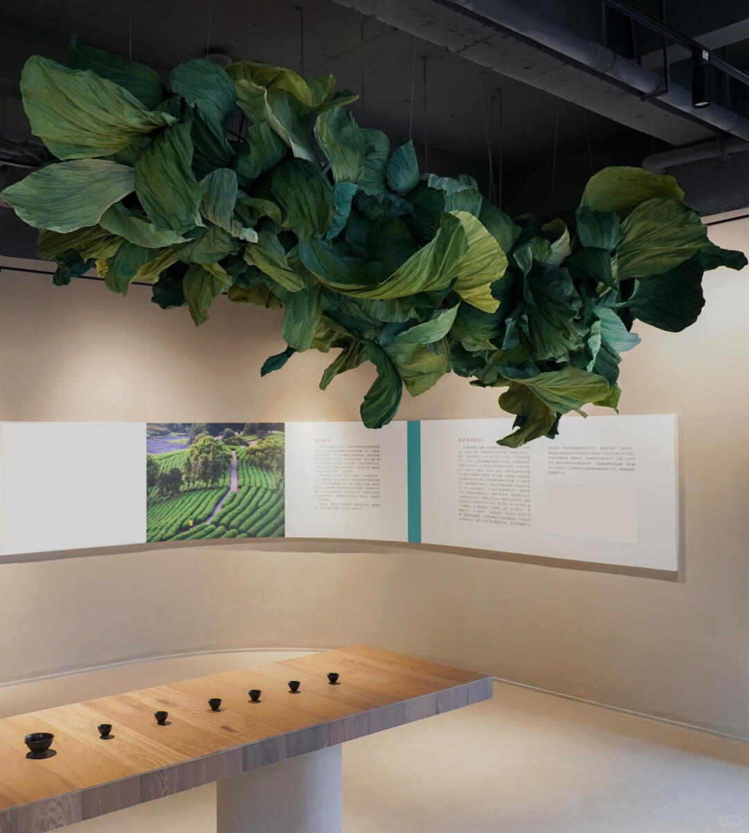 Emerald Sprouting | Tea-Themed Art Installation | Large-Scale Green Paper Ceiling Installation image 4