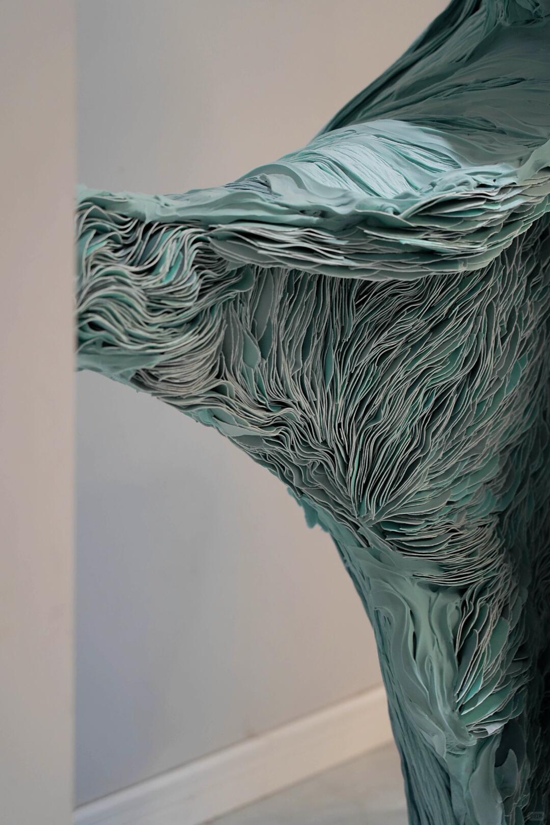 Petrified Wood | Frozen Poetry of Growth Rings | Installation Art image 5