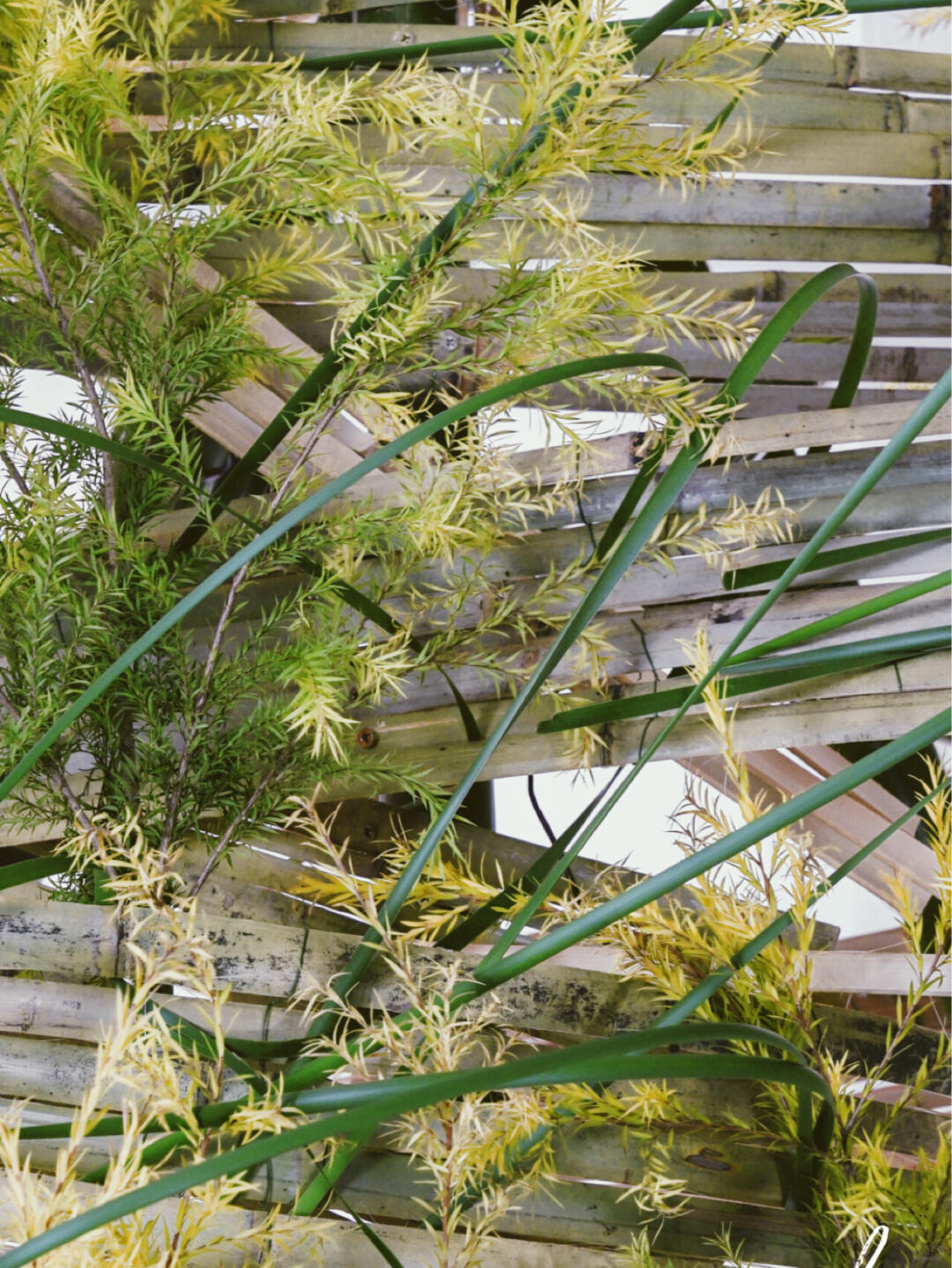 Bamboo Installation Art image 5