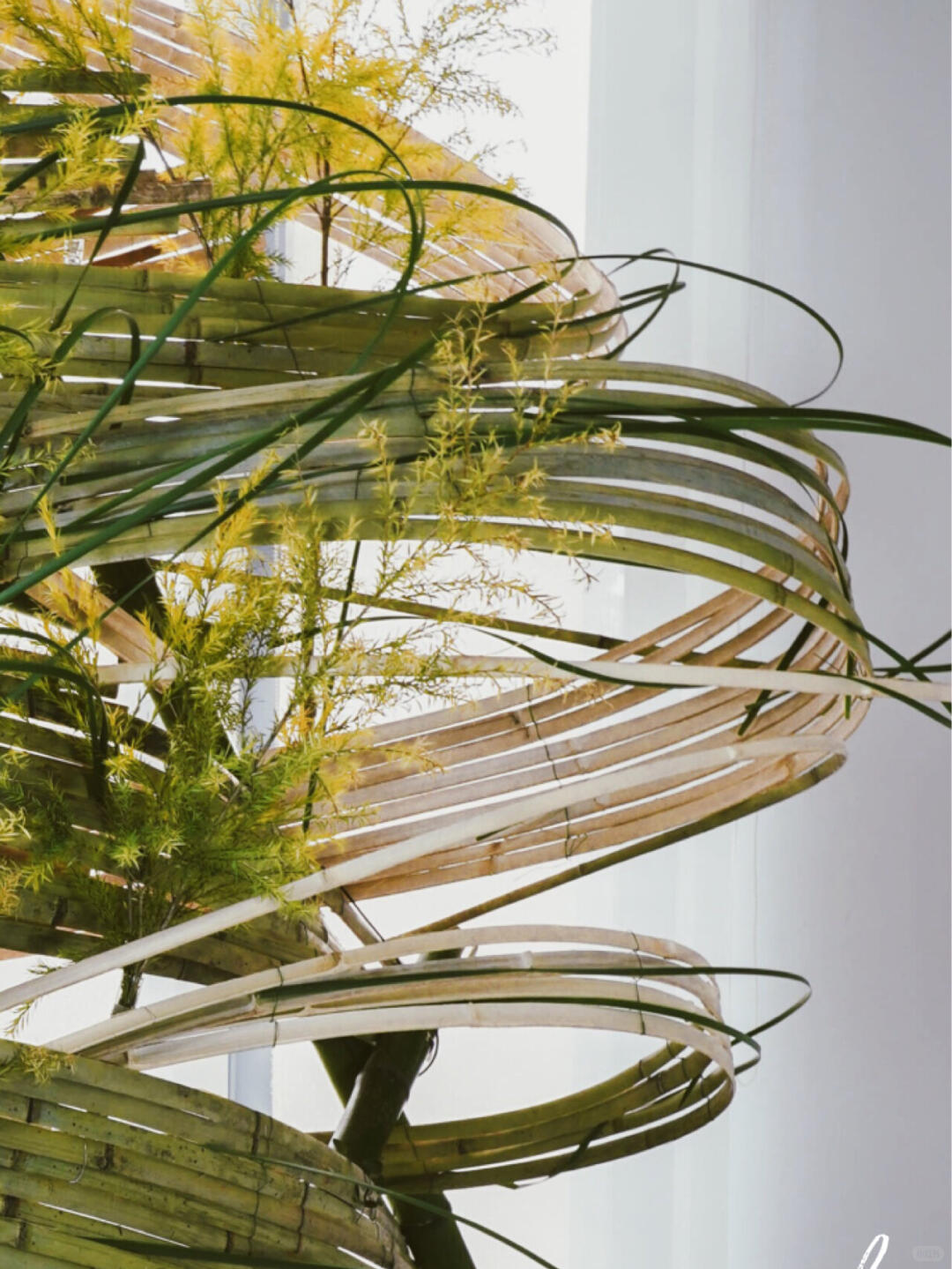 Bamboo Installation Art